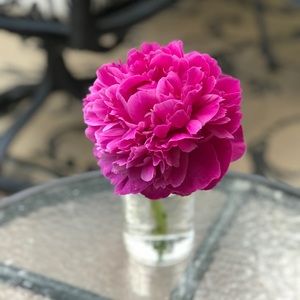 Meet your Posher, Stacy